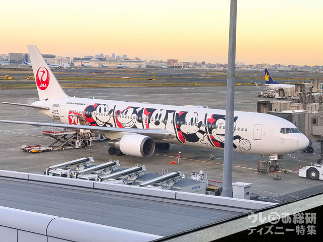 JAL DREAM EXPRESS 90