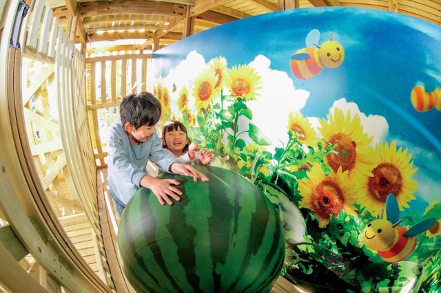 ゴロゴロところがるスイカ｜鈴鹿サーキット