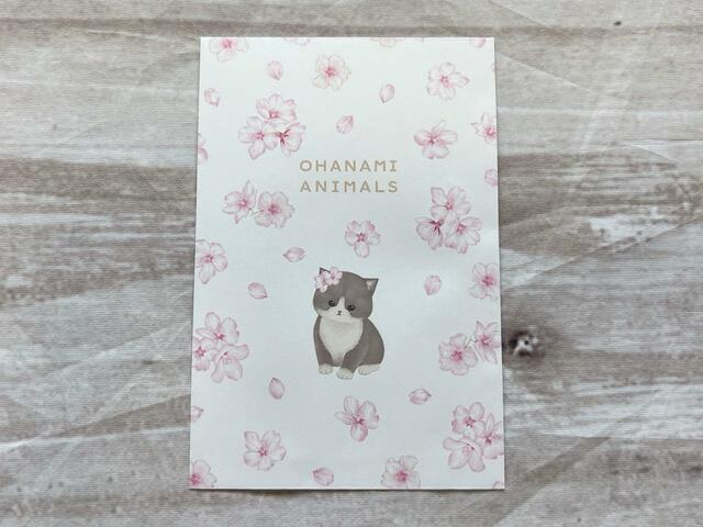 ホワイトにグレーの猫が大人かわいい♪