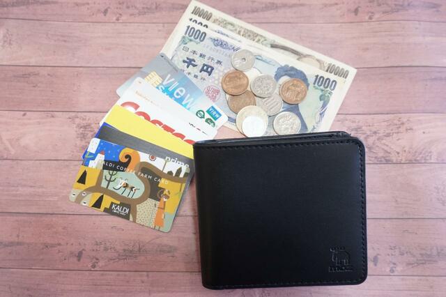 カードは全6枚入る