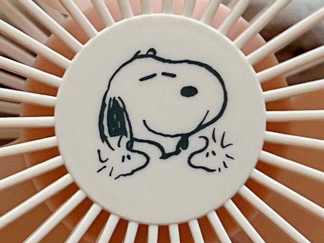 両サイドにウッドストックを従えたスヌーピー。かわいすぎませんか！？