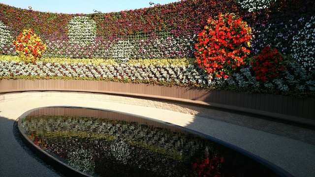 フラワーラグーン