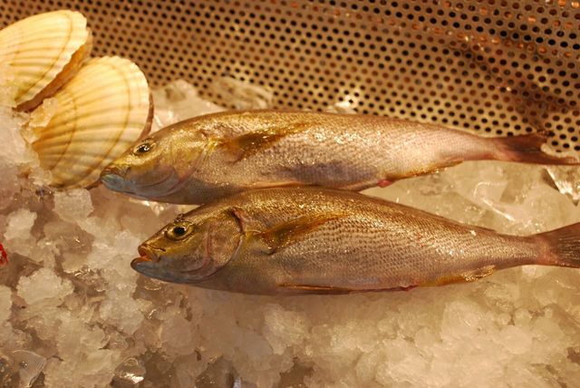 「相州牛」が食べられる「MARIN＆FARM」／新鮮な海産物