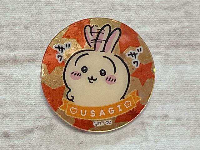 3.うさぎが来てくれました！