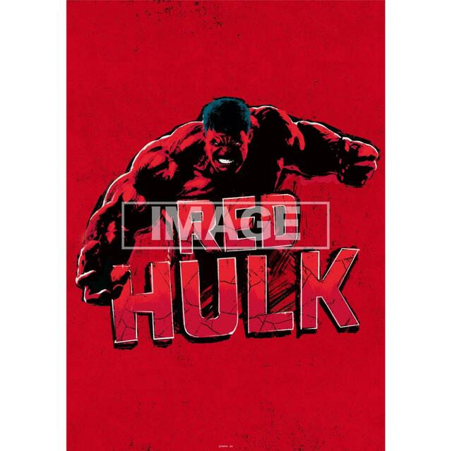 F賞 ポスター｜Happy くじ / MARVEL 『キャプテン・アメリカ:ブレイブ・ニュー・ワールド