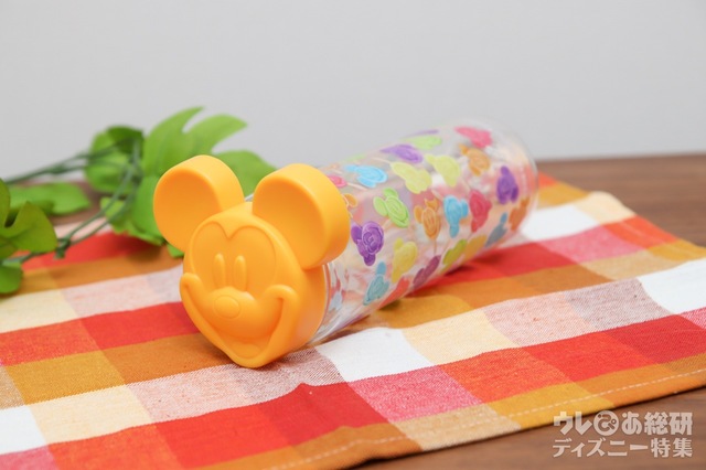 スーベニアドリンクボトル ＋1100円