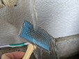 【ダイソー ペット用ブラシ】使用後はブラシの毛を取り除き、水洗いして乾燥させましょう