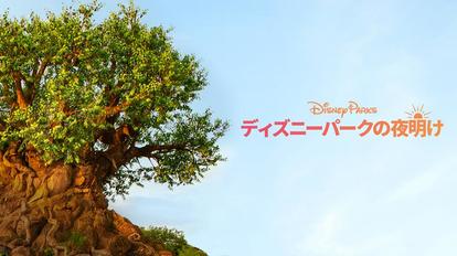 ディズニーパークの夜明け 魔法のような 映像体験 おススメ活用術4選 1 2 ディズニー特集 ウレぴあ総研