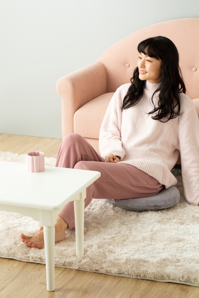 】ヒーター付きシートクッション