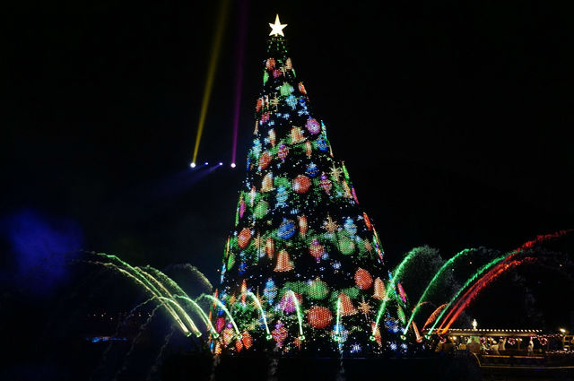 カラー・オブ・クリスマス　鮮やかなツリー