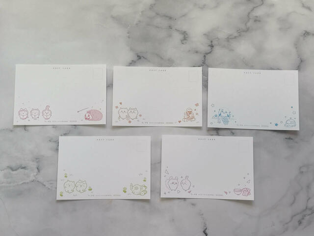 なんと裏面にも豪華なイラスト入り！