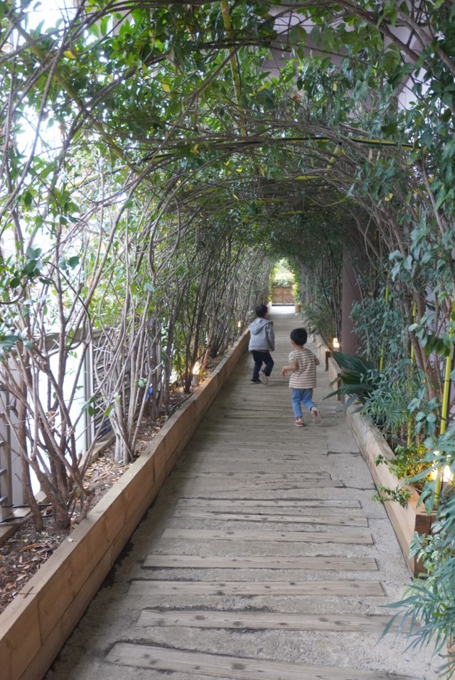 【星野リゾート　リゾナーレ熱海】森の空中基地 くすくすに向かう通路