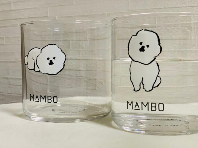 全5種類あるイラストから、お気に入りを探すのも楽しいです♪