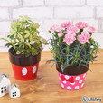母の日父の日を一緒に贈る ディズニー「ミッキー＆ミニー カーネーションとミニ観葉のセット」
