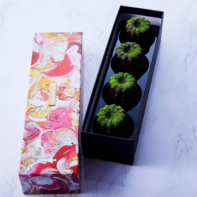 CANNECHEE MATCHA - yutaokuda × LOUANGE TOKYO