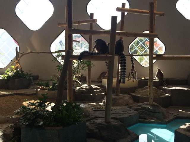 「うごきにふれる」ゾーン