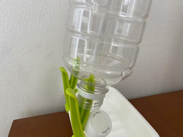 【ダイソー ペットボトル水切り】翌朝見ると水分が若干残るがほとんど乾いている