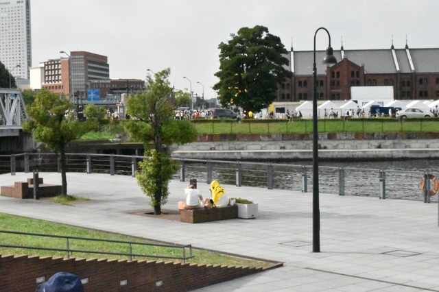 あっ!ピカチュウいた!