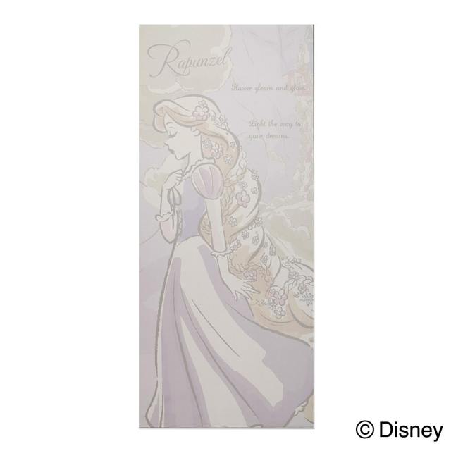 ディズニー網戸貼り替えネット ＜ラプンツェル＞2,980円