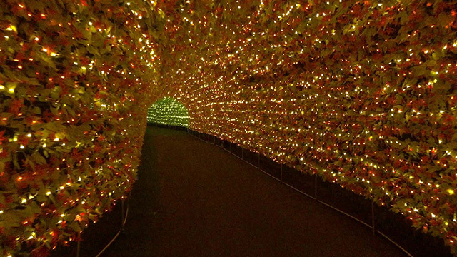 「アパリゾート上越妙高イルミネーション2015」