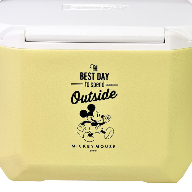 エクスカーション(R)クーラー15L 5,500円