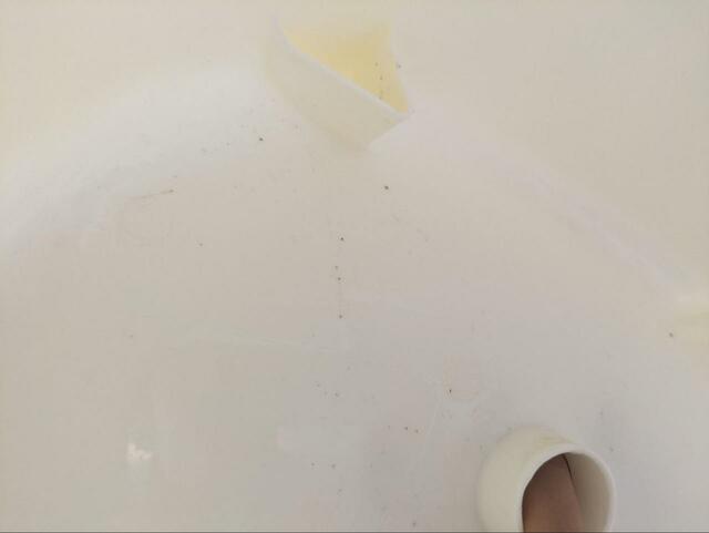 【ニトリ 裏面も洗いやすい 抗菌風呂いす ブロウ 高さ25cm】我が家の従来品のいすは黒カビがちらほら…