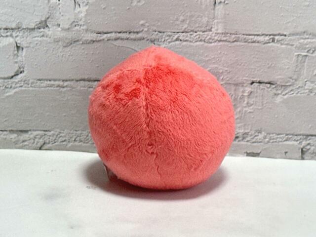 後ろ姿もまんまるキュートです♪