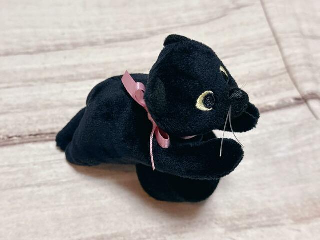 【カルディ ハロウィン パッチンキャットトリートバッグ】リボンはピンクとブルーから選べて、お目目のカラーもそれぞれ異なります！