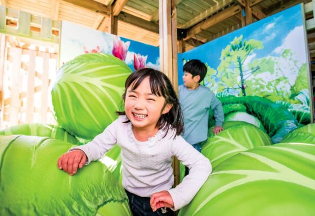 大きなキャベツの合間をぬって次のステージへ！｜鈴鹿サーキット