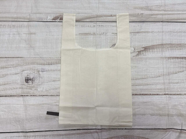 【kodomoe12月号付録】バックは装飾がないシンプルなデザイン