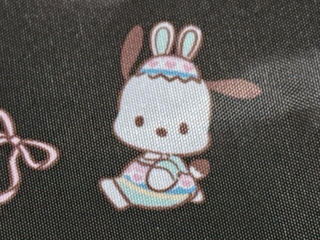 ポチャッコも登場しています！フェアリーラビット仕様がかわいい♪