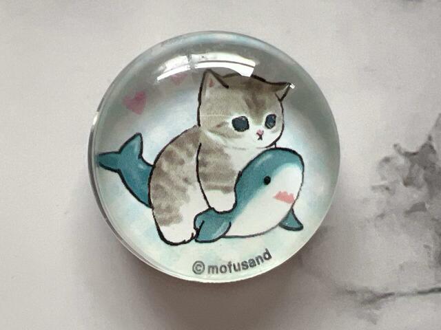 サメに乗るにゃんこもキュートです♪