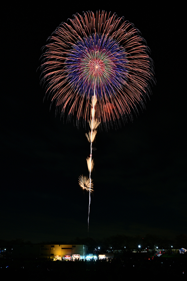 第10回フォトコンテストの入賞作品「秋を彩る大輪の花」