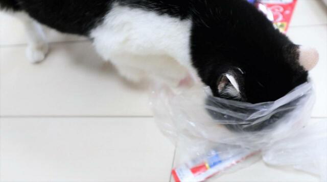 【いなば CIAOちゅ～る】ああ！ゴミ袋の中にまで頭を突っ込んでしまいました