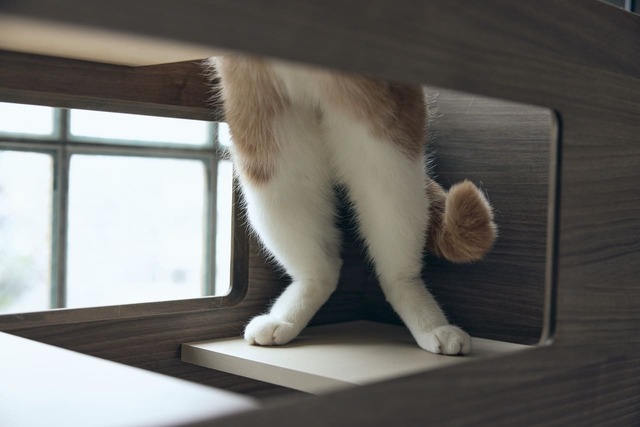 【フランスペット】「キャットタワー パーテーション」