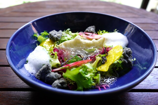 ハイアット セントリック 銀座 東京「すみだ水族館コラボアフタヌーンティー」キヌア、海藻のサラダ 小笠原の塩サブレ