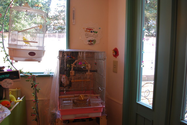 ことりカフェ／表参道店・店内