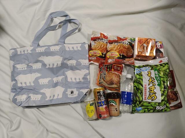 『素敵なあの人』7月号付録「ベングト＆ロッタの大容量バッグ」たくさんの冷凍食品を詰め込むことができた