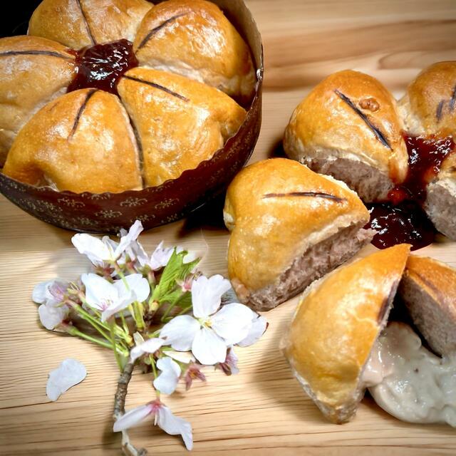 シミズシェフ 天使のほっぺサクラソウ