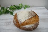 【タカキベーカリー カンパーニュ】どっしりとした重さのあるパン