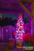 東京ディズニーシーのクリスマス「ロストリバーデルタ」