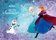 DISNEY FROZEN SUMMER