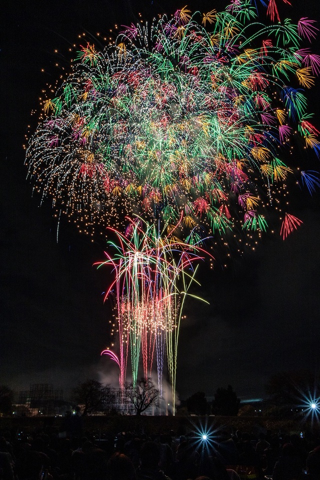 第10回フォトコンテストの入賞作品「彩色百華」