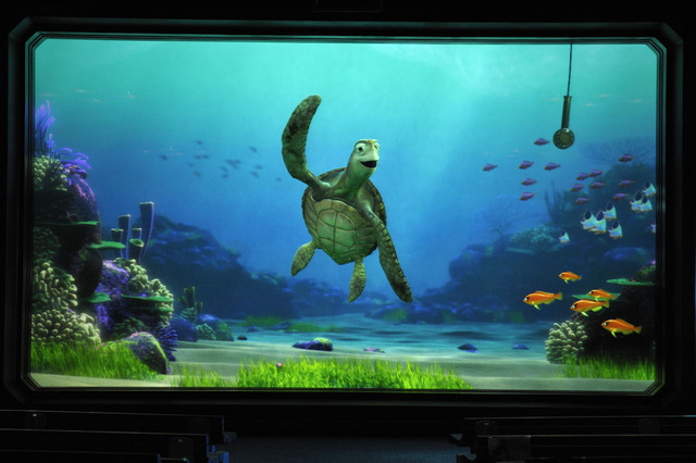 腕…ではなくヒレを大きく上げて！