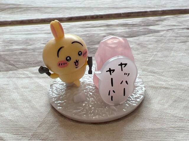 10.うさぎ(拾魔)がきてくれました!