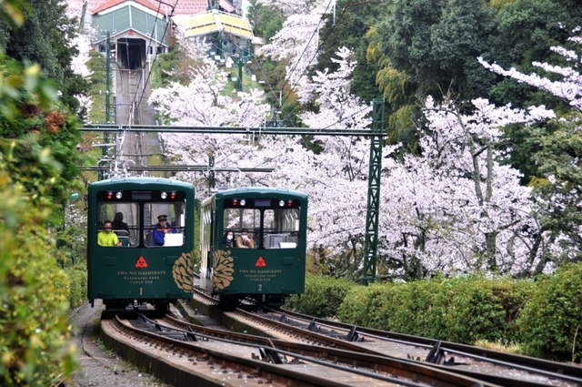 天橋立傘松公園