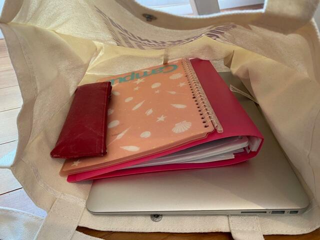 【リンネル2023年6月号 お買い物が楽しくなる！BIGトートバッグ】参考書などを追加しても◎