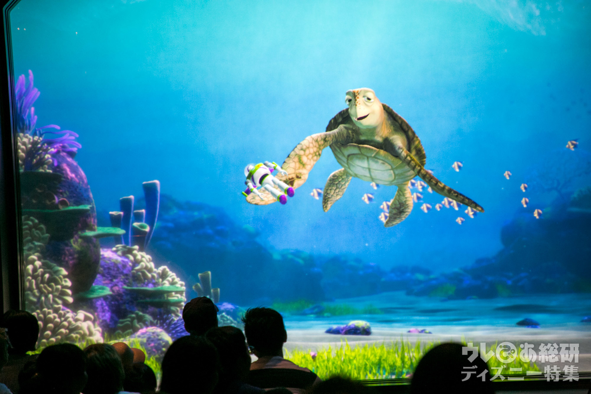 Tds速報 タートル トーク がリニューアル ファインディング ドリー のキャラクターが続々登場 写真 10 28 ディズニー特集 ウレぴあ総研