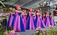ハワイアンフラダンスショーも開催