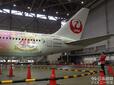 特別塗装機「JAL Colorful Dreams Express」